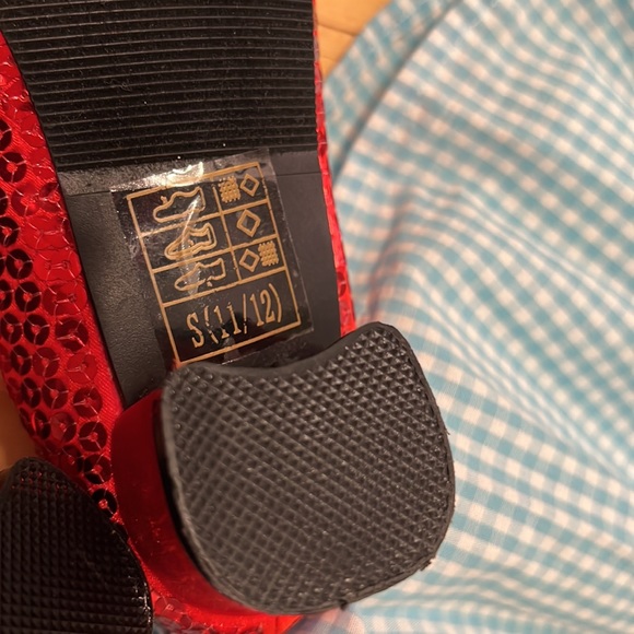 Dorothy from The Wizard of Oz - Full Costume Set - Toto and Ruby Slippers - Picture 5 of 14